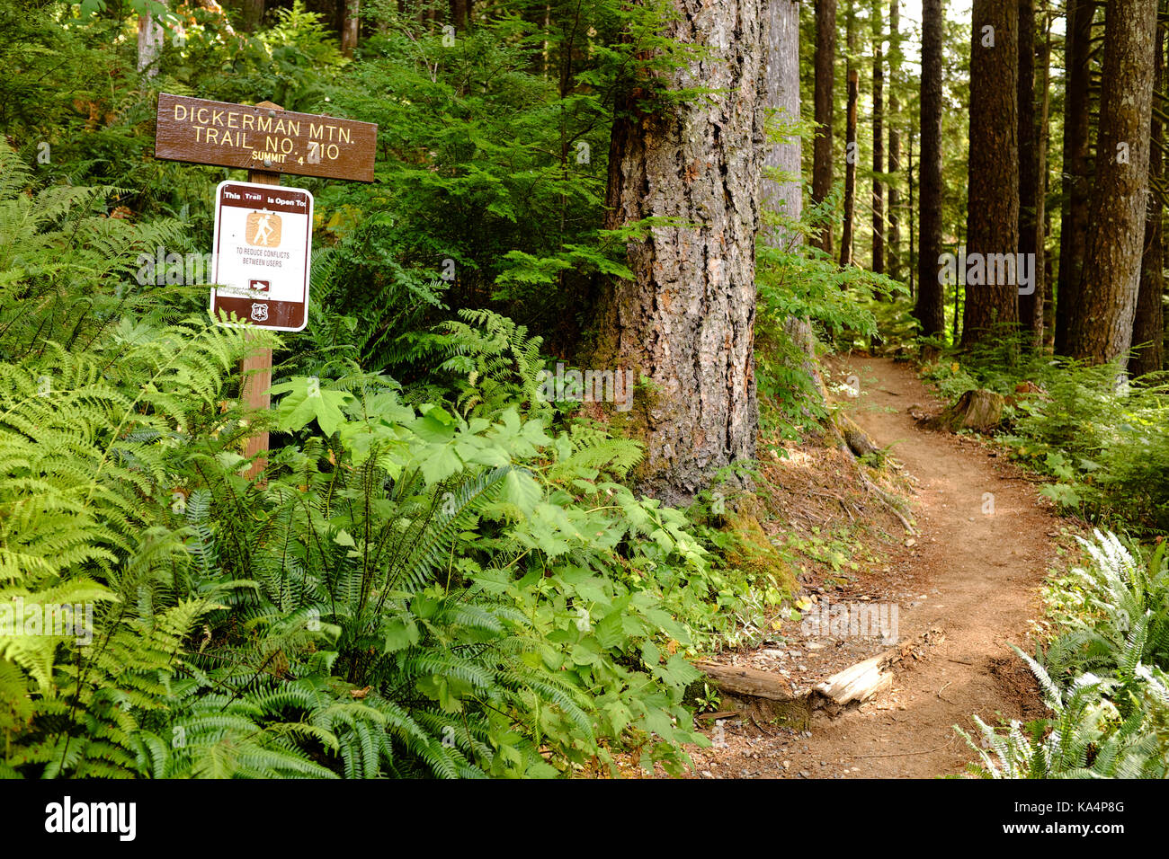 The trailhead for Dickerman Mountain trail in Mt. Baker-Snoqualmie National Forest in Washington State. Stock Photo