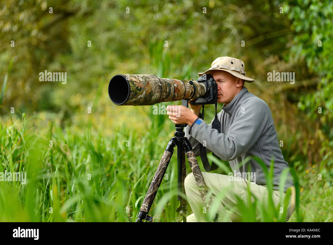 Professional wildlife photographer outdoor Stock Photo