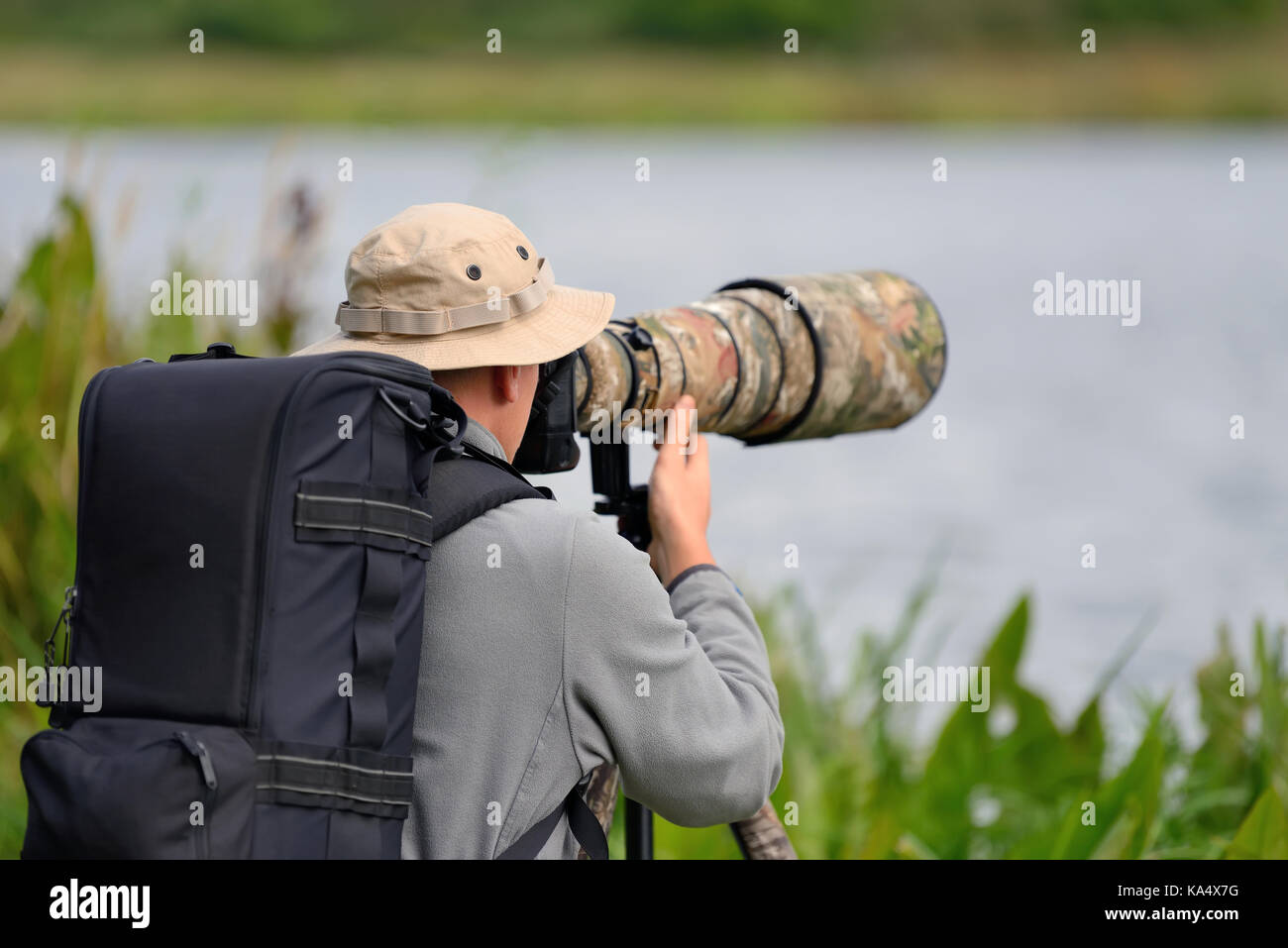 Professional wildlife photographer outdoor Stock Photo