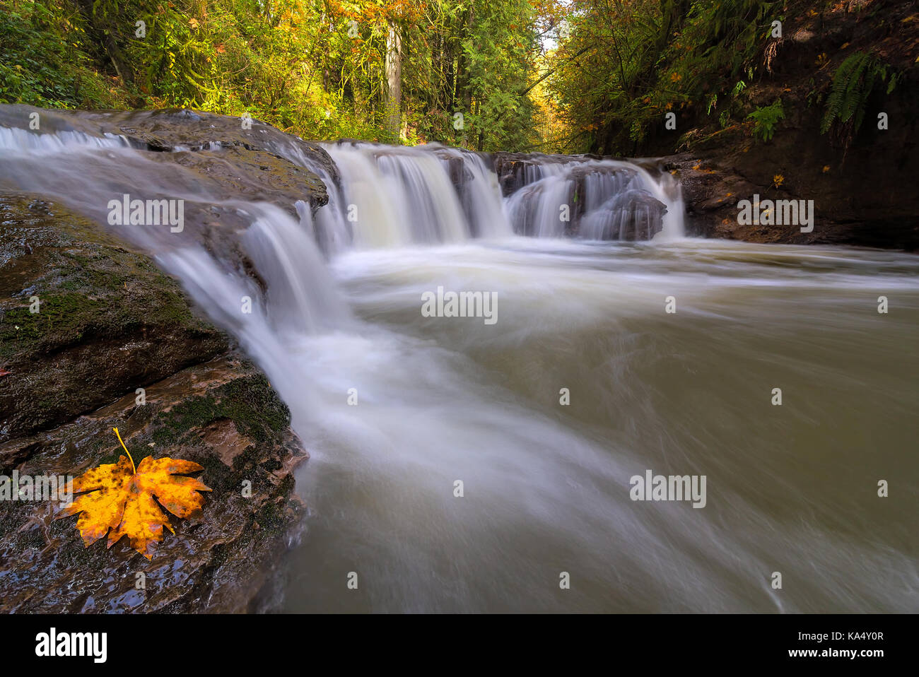 Rock Creek in Happy Valley Clackamas County Oregon in Fall Season Stock Photo