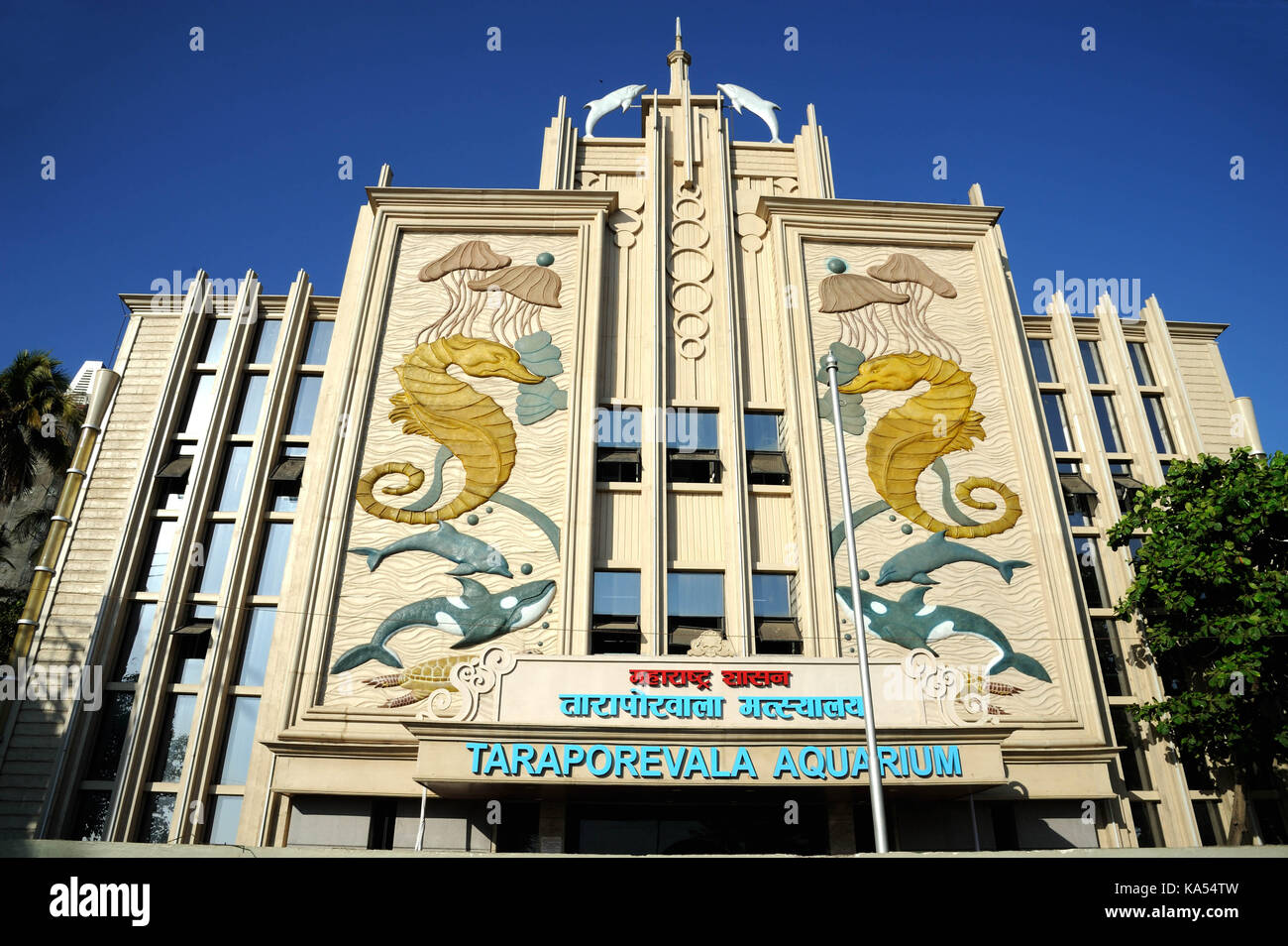 taraporevala aquarium
