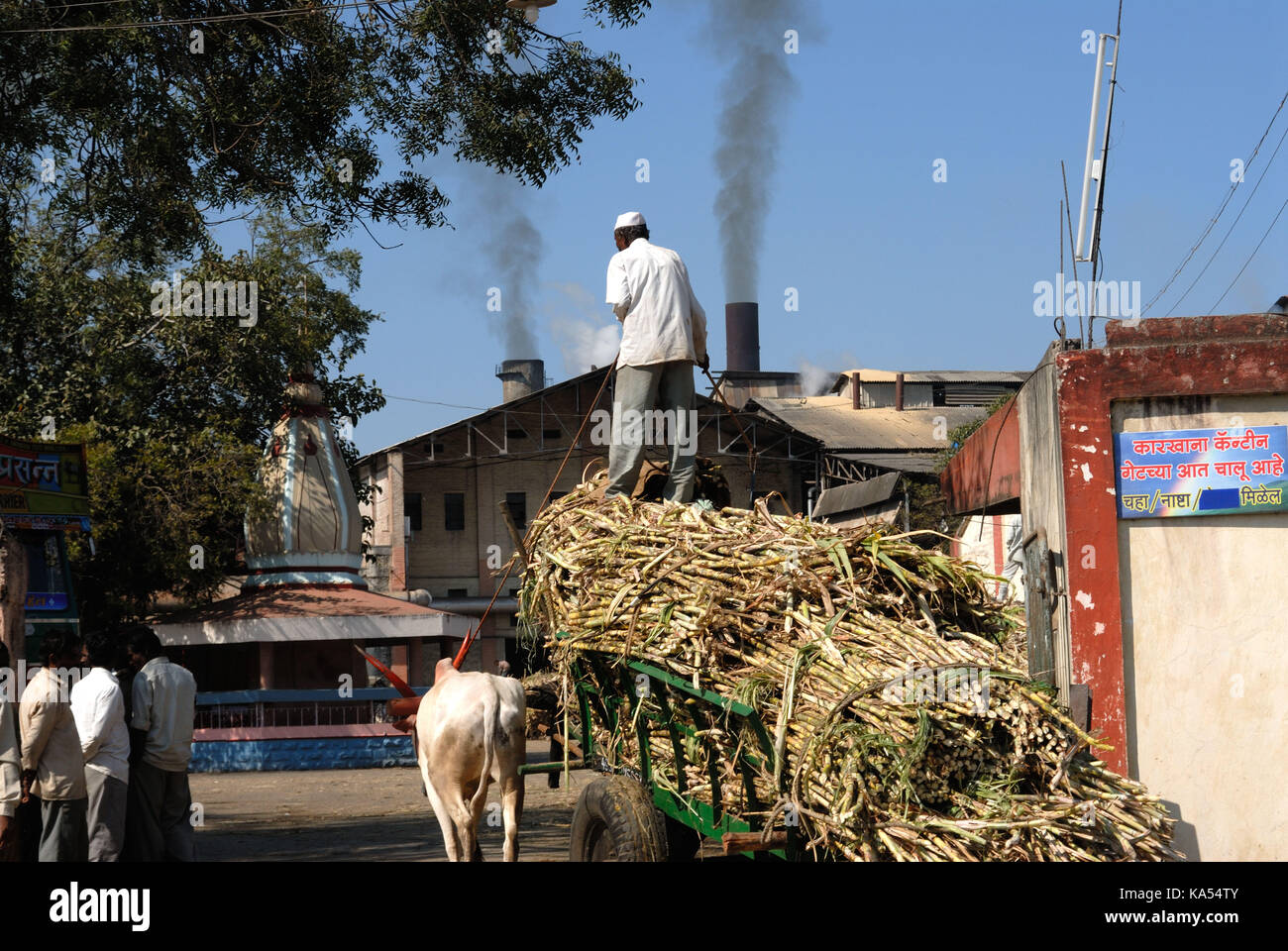 sugar-factory-sangli-maharashtra-india-asia-stock-photo-alamy