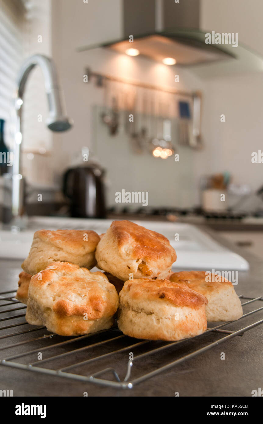 Fresh baked cheese scones straight from the oven Stock Photo Alamy