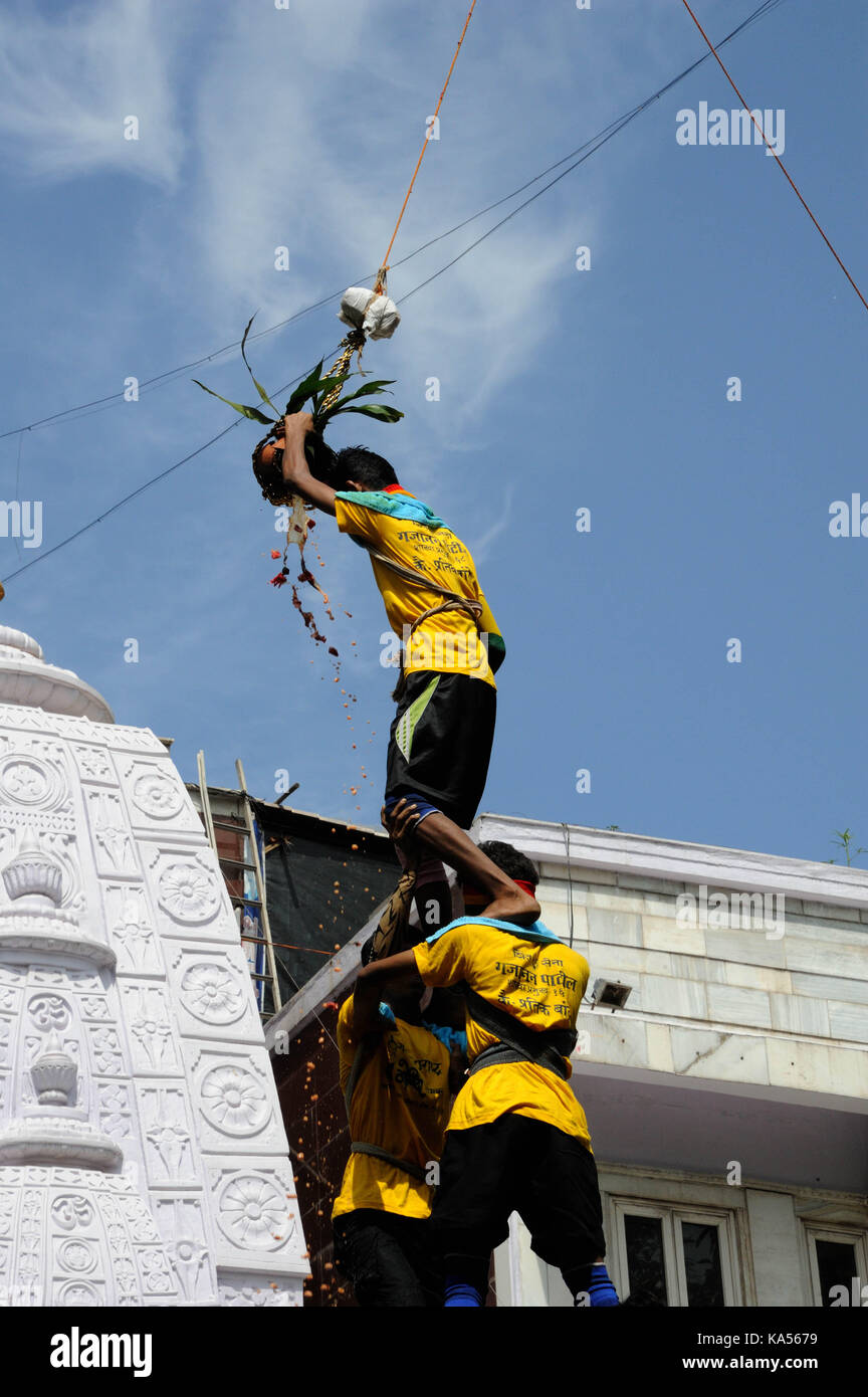 janmashtami festival, mumbai, maharashtra, India, Asia - RMM 258529