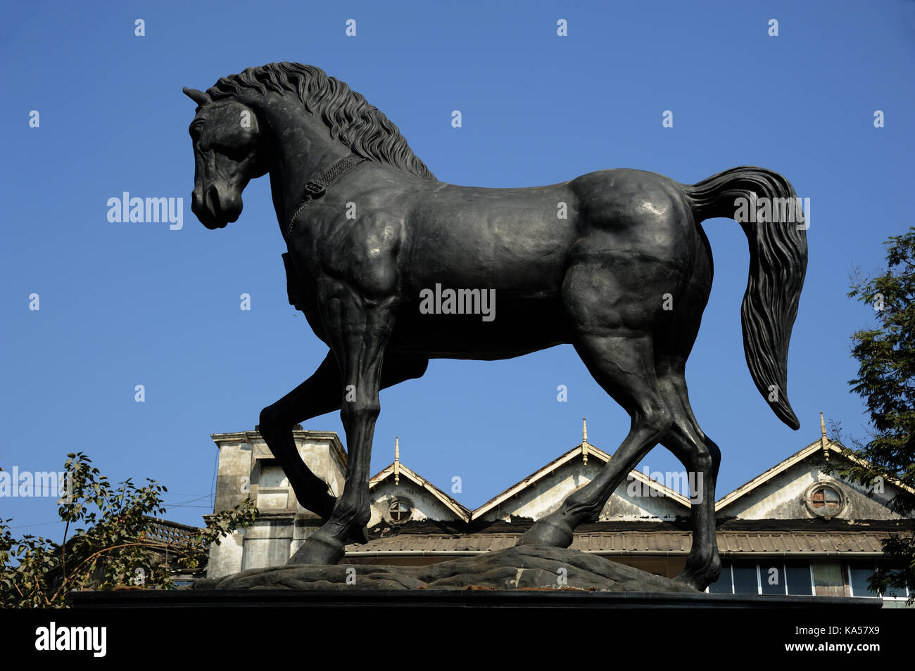 Black Horse statue, Kala Ghoda, Fort, Mumbai, Maharashtra, India, Asia Stock Photo