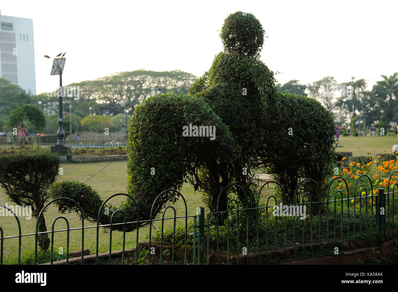 Man on Elephant made of green leaves hanging garden, mumbai, maharashtra, India, Asia Stock Photo