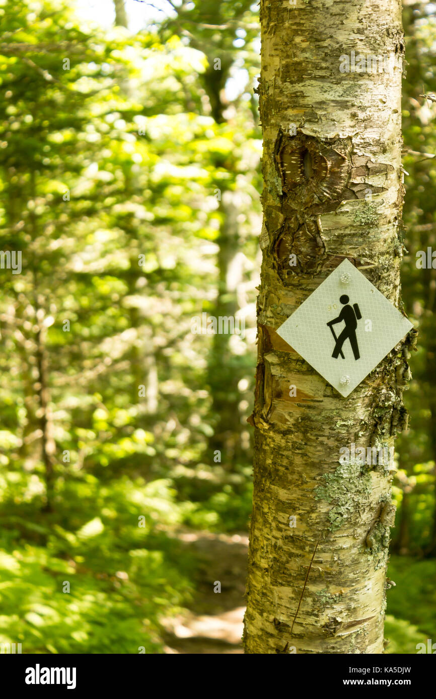 Trail marker on Blue Ridge Mountains. Stock Photo