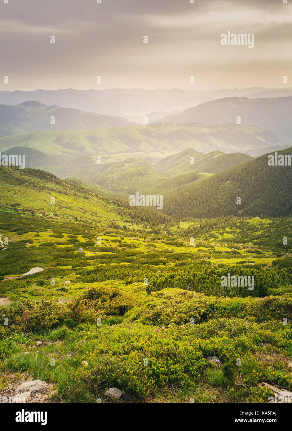 Summer Mountains Green Grass And Blue Sky Stock Photo Alamy summer-mountains-green-grass-and-blue-sky-stock-photo-alamy