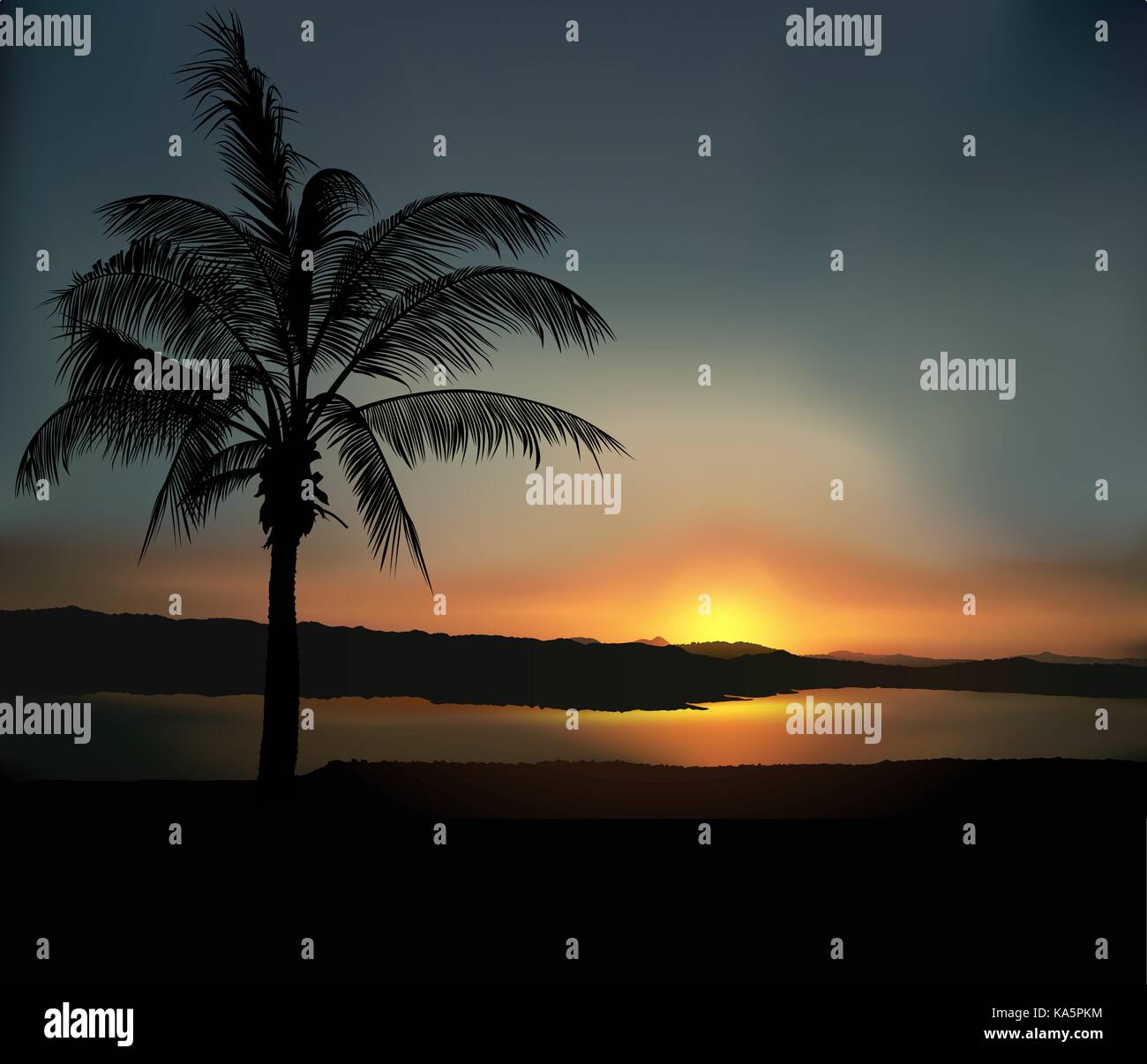 Tropical Sunset Background Stock Vector Image & Art - Alamy