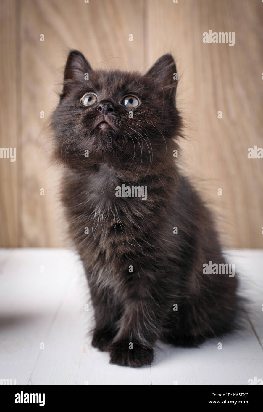Cute background hi-res stock photography and images - Alamy