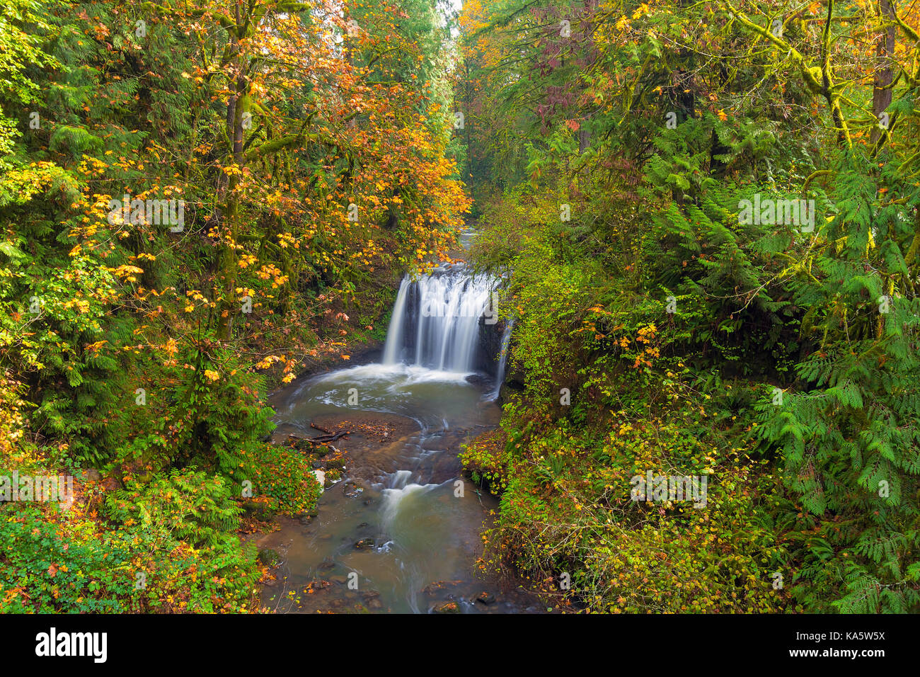 Hidden Falls on Rock Creek in Happy Valley Clackamas County Oregon during Fall Season Stock Photo