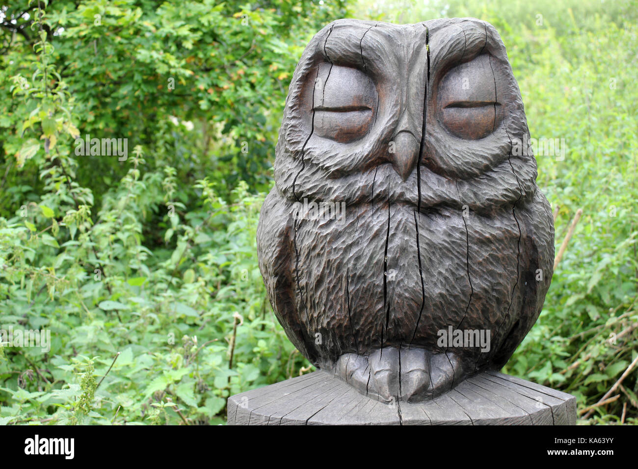 Carved Wooden Owl Stock Photo