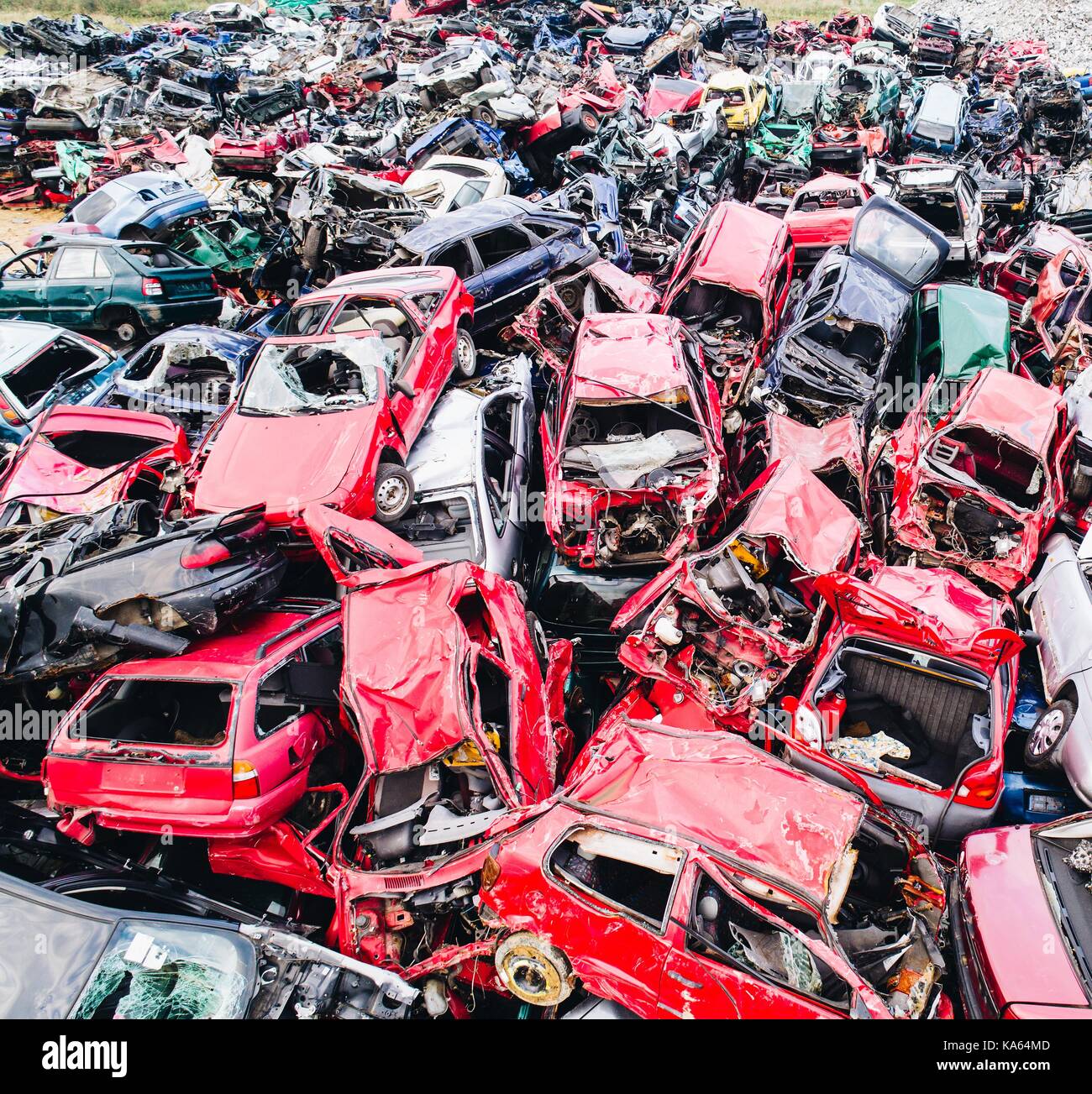 Scrapped cars stacked on a scrap yard. Car recycling Stock Photo Alamy