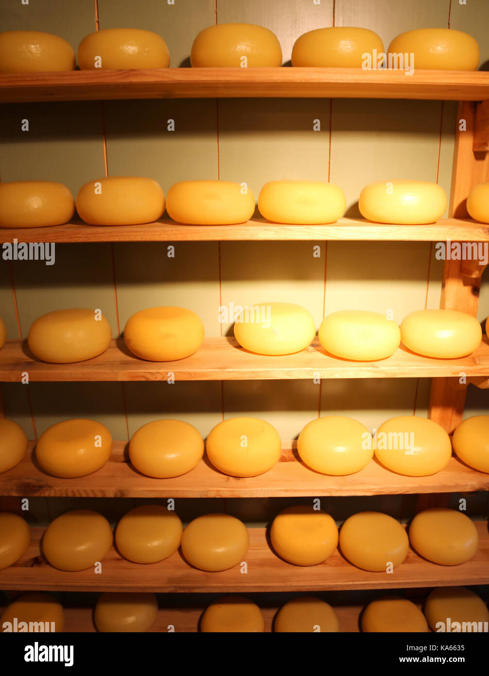 many typical cheeses from Holland for sale in the Cheese Shop Stock