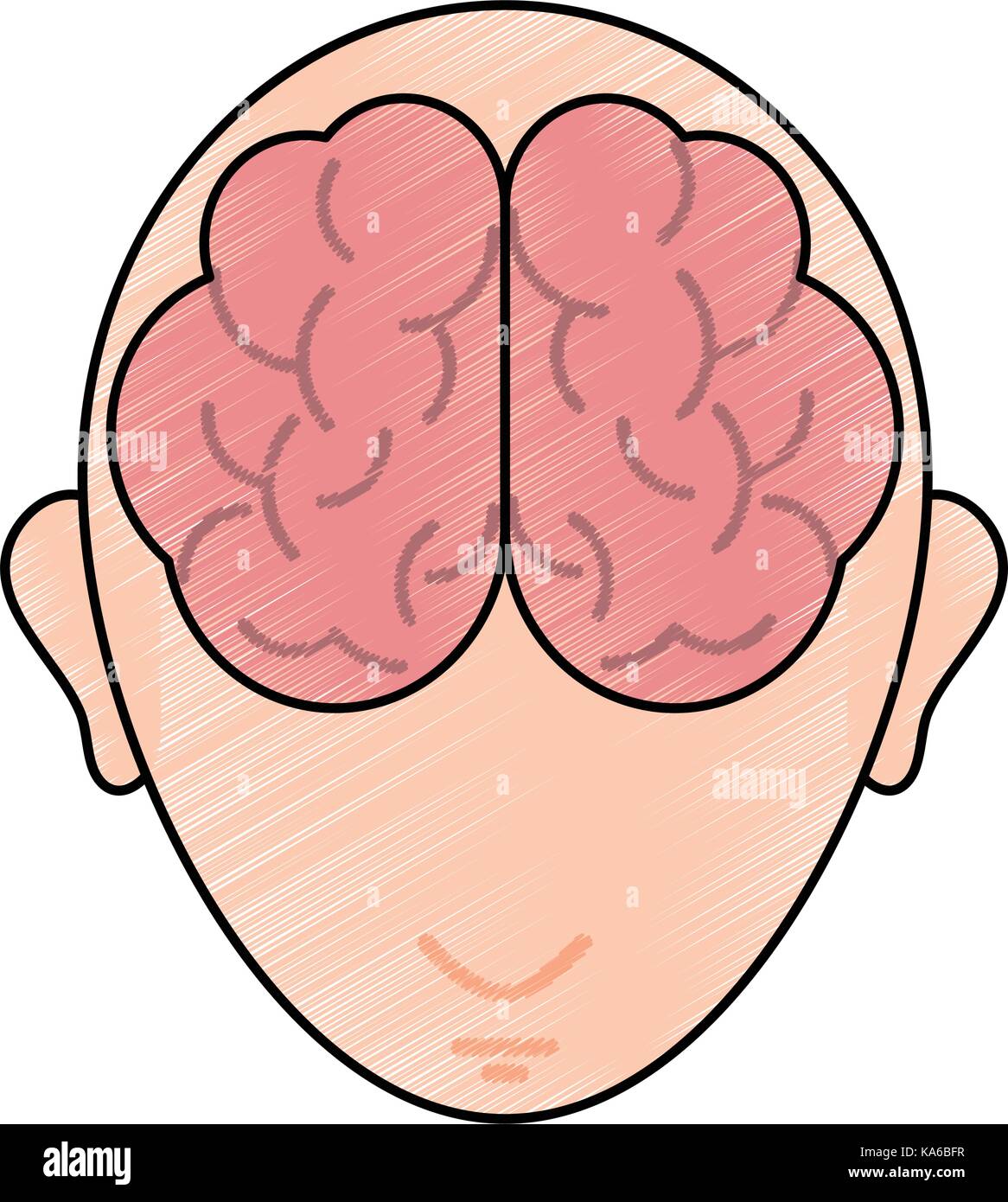 medical human brain Stock Vector Image & Art - Alamy