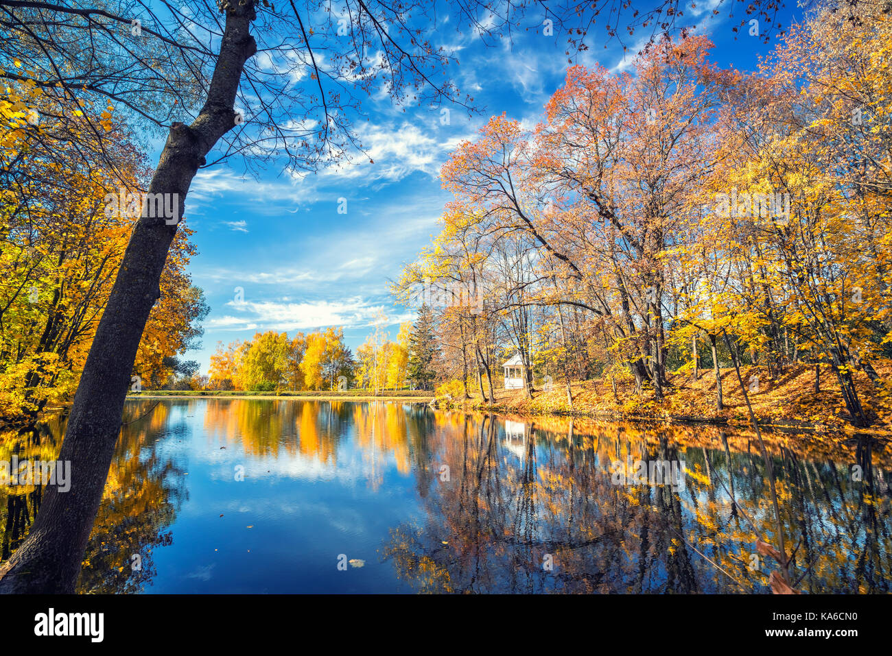 Sunny autumn in the park over lake Stock Photo