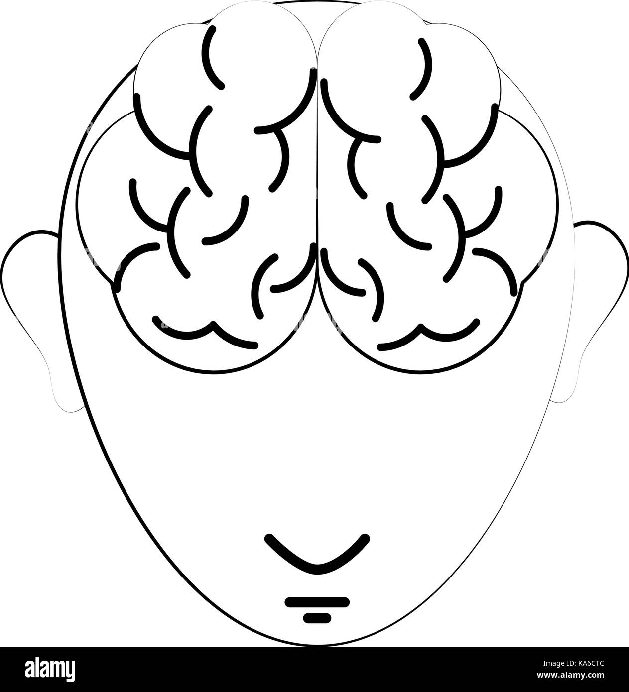medical human brain Stock Vector Image & Art - Alamy