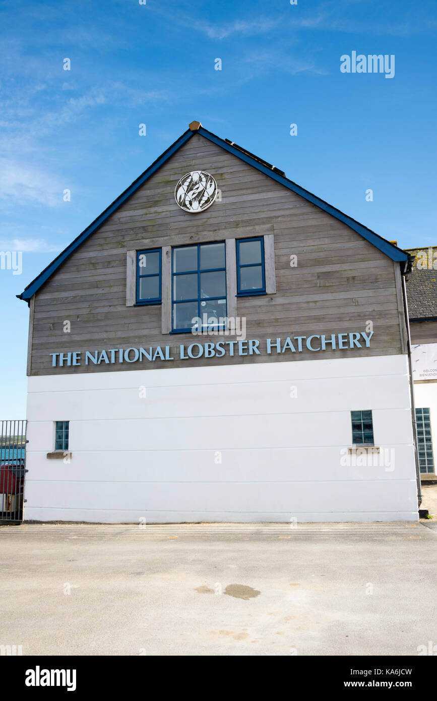 The National Lobster Hatchery, Padstow, Cornwall, England, UK. Stock Photo
