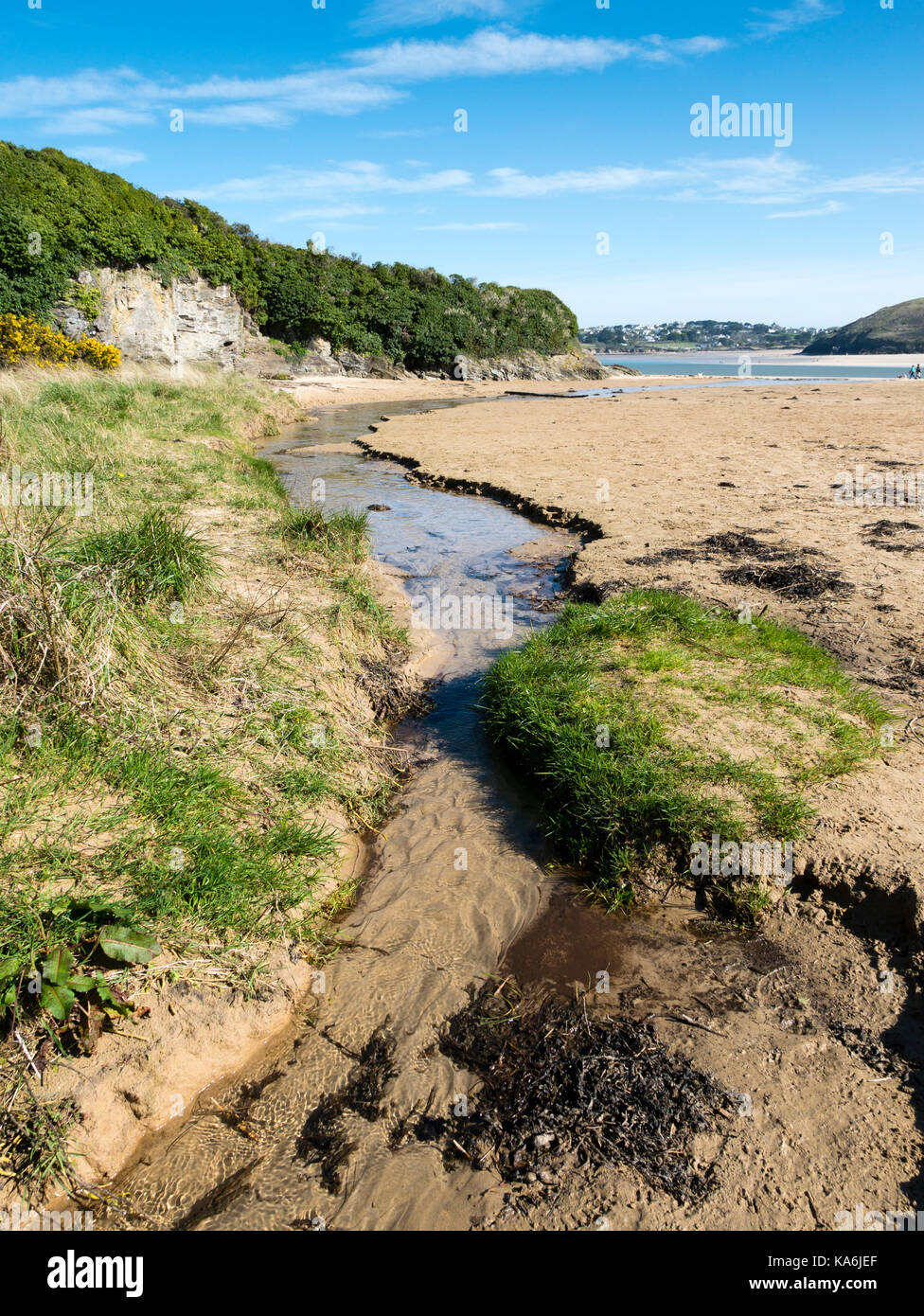 Harbour Cove beach, Padstow, Cornwall, England, UK Stock Photo Alamy