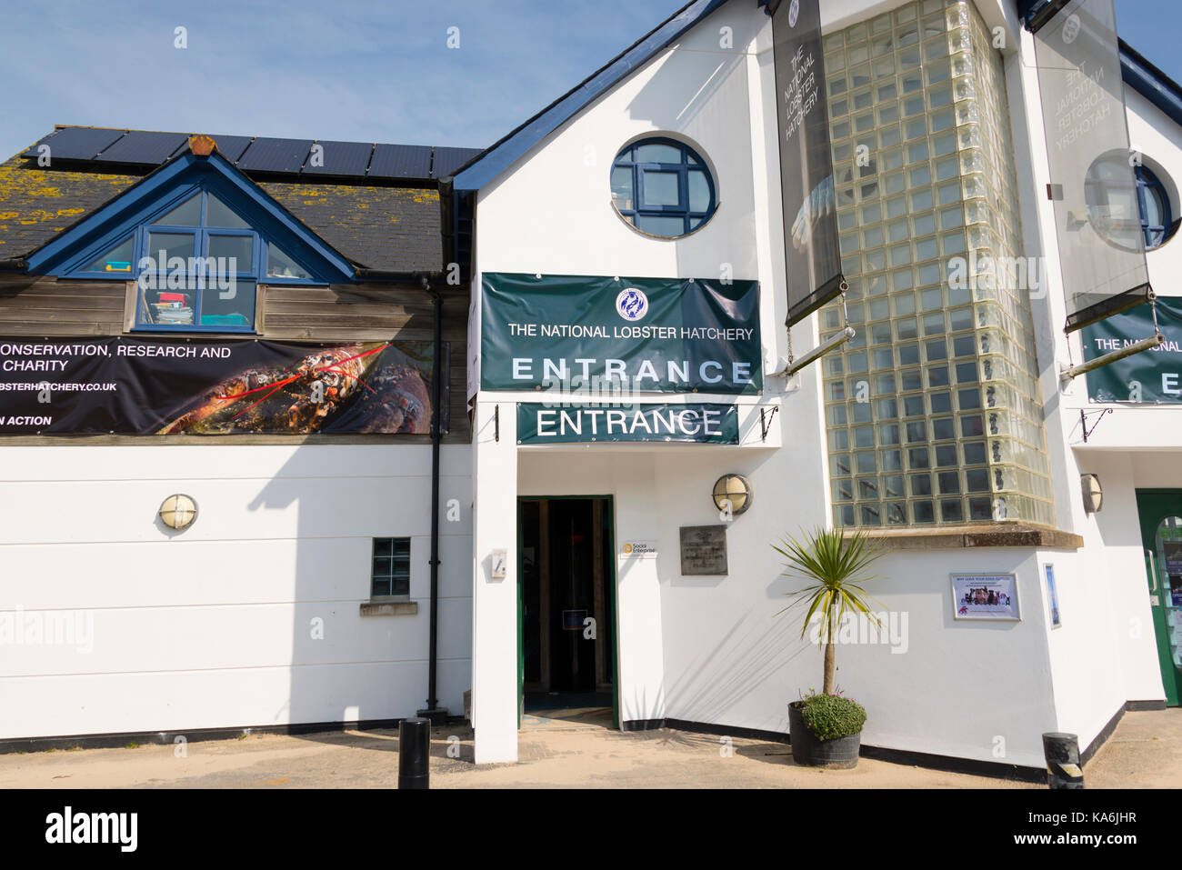 The National Lobster Hatchery, Padstow, Cornwall, England, UK Stock