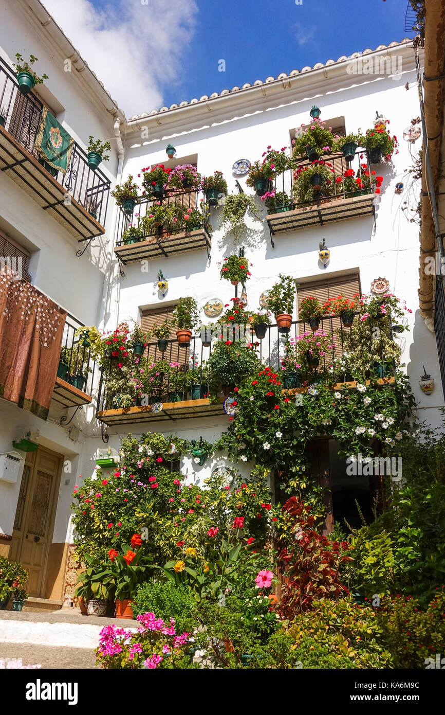 Andalusian patio hires stock photography and images Alamy