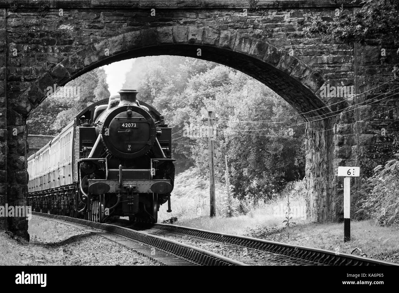 The train approaching Newby Bridge Halt on the Haverthwaite to Lakeside Railway. Stock Photo