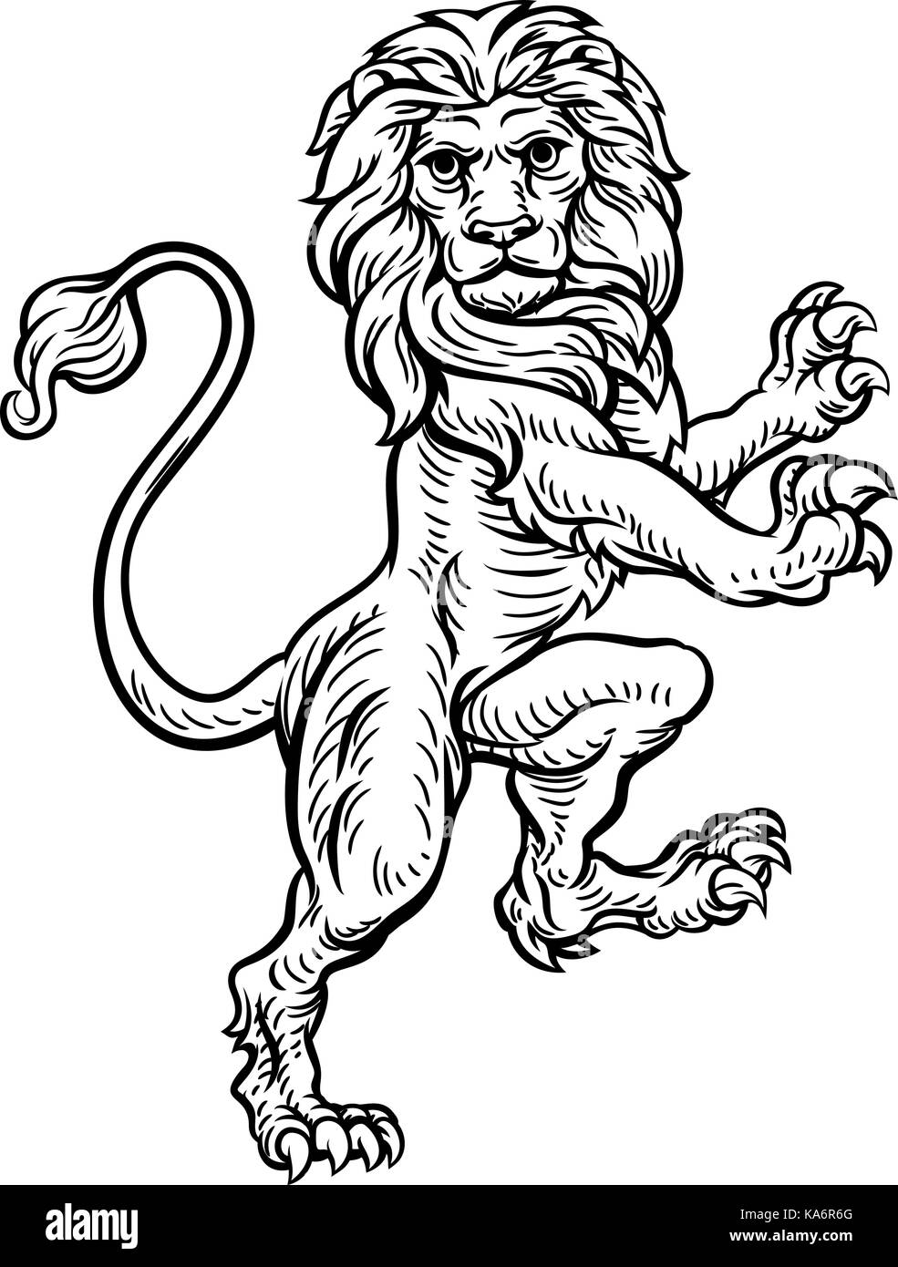 Rampant lion drawing hi-res stock photography and images - Alamy