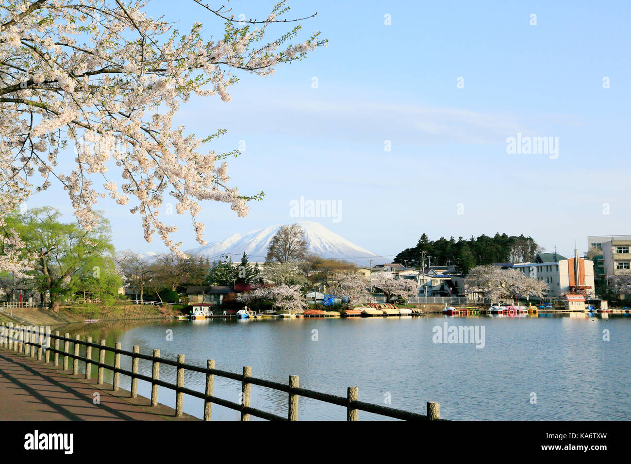 Cherry Blossoms In Takamatsu s Pond Park Stock Photo Alamy cherry-blossoms-in-takamatsu-s-pond-park-stock-photo-alamy