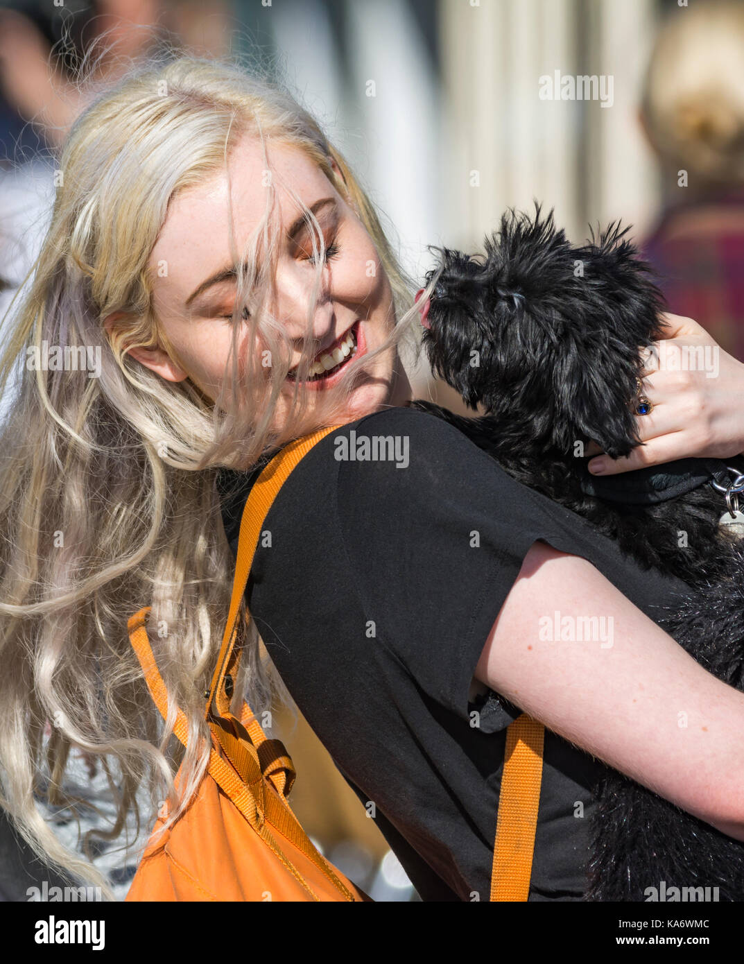 Young pretty woman greeting a dog that's licking her face. Stock Photo