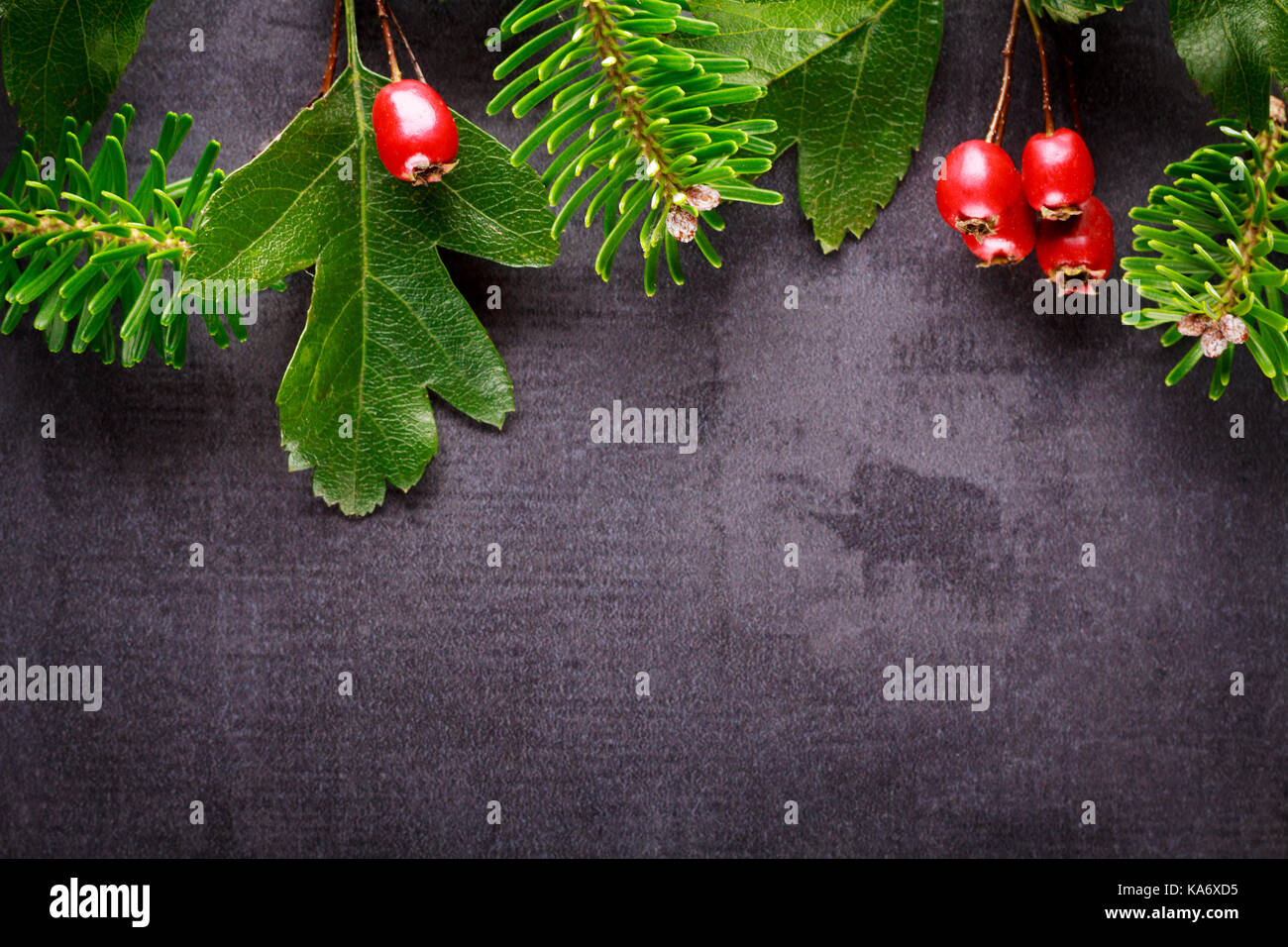 Background christmas decoration twig, red berries on back slate. Stock Photo