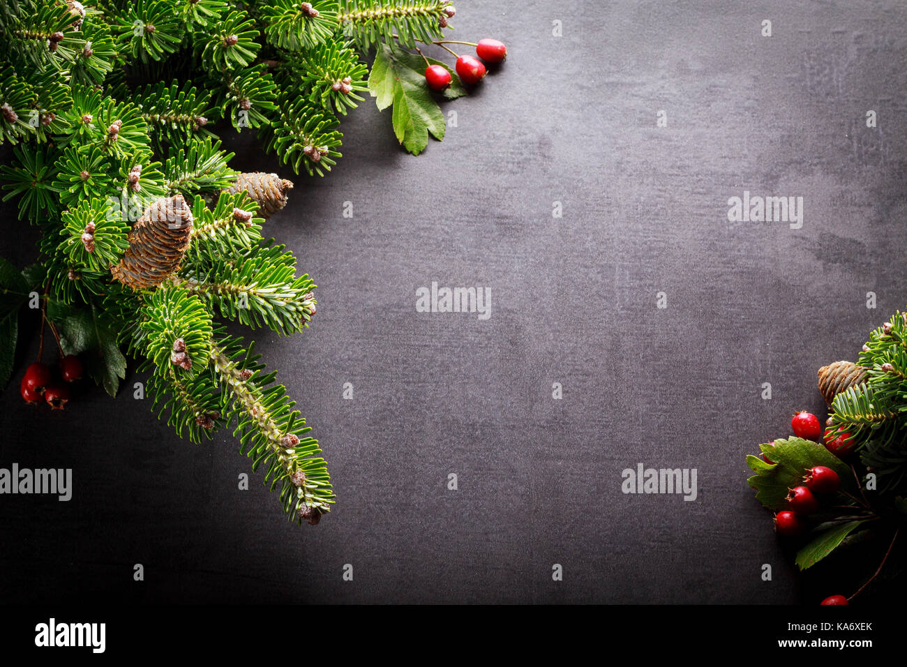 Background christmas decoration twig, red berries on back slate. Stock Photo