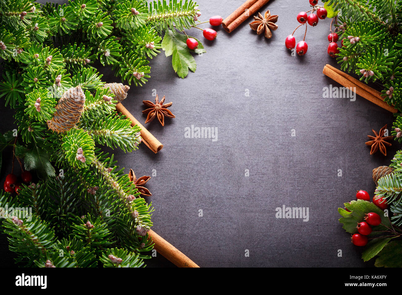 Background christmas decoration green twig, red berries, cinnamon and anise spices on back slate. Stock Photo