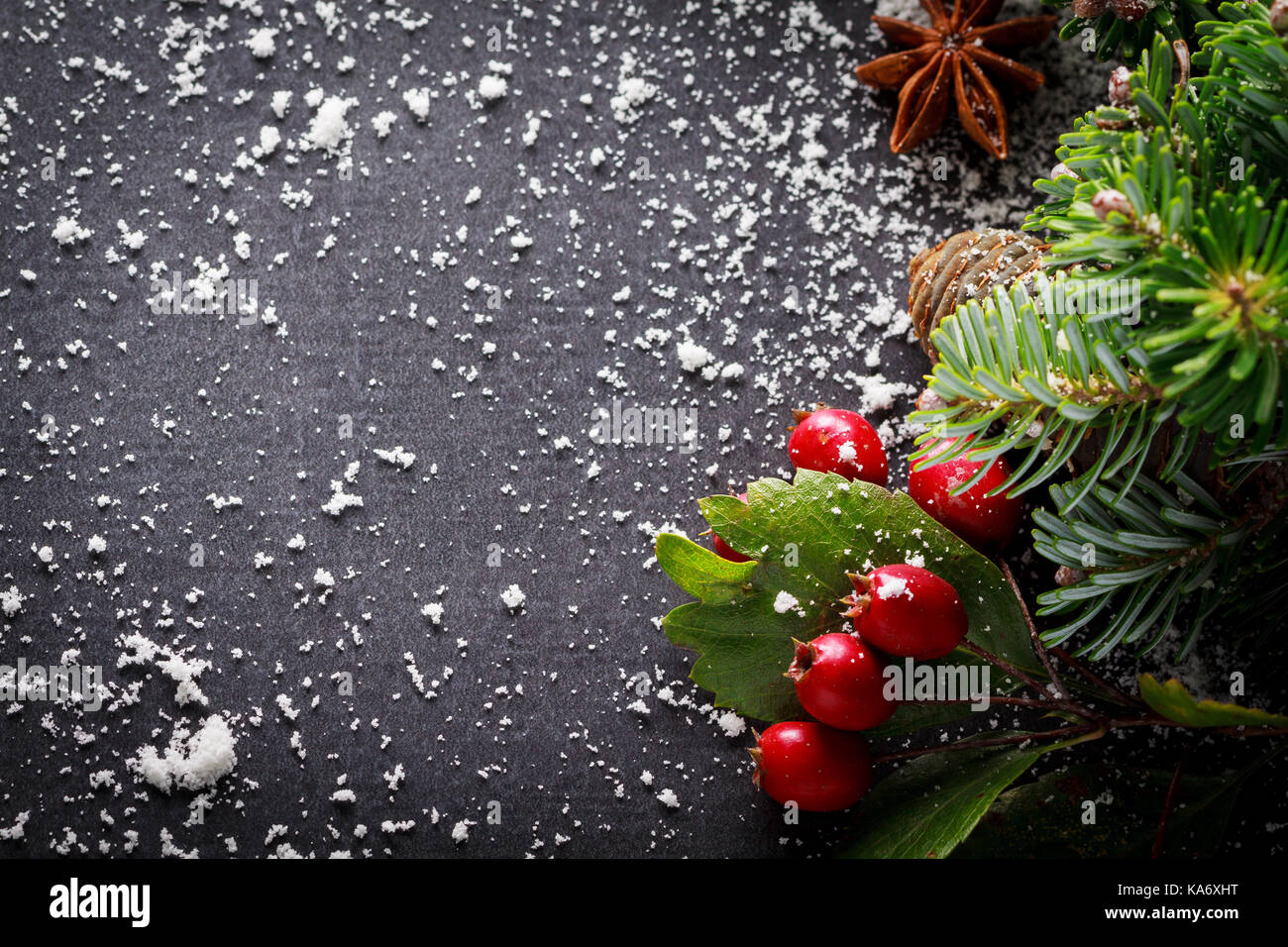 Background christmas decoration green twig, red berries, cinnamon and anise spices on back slate. Stock Photo