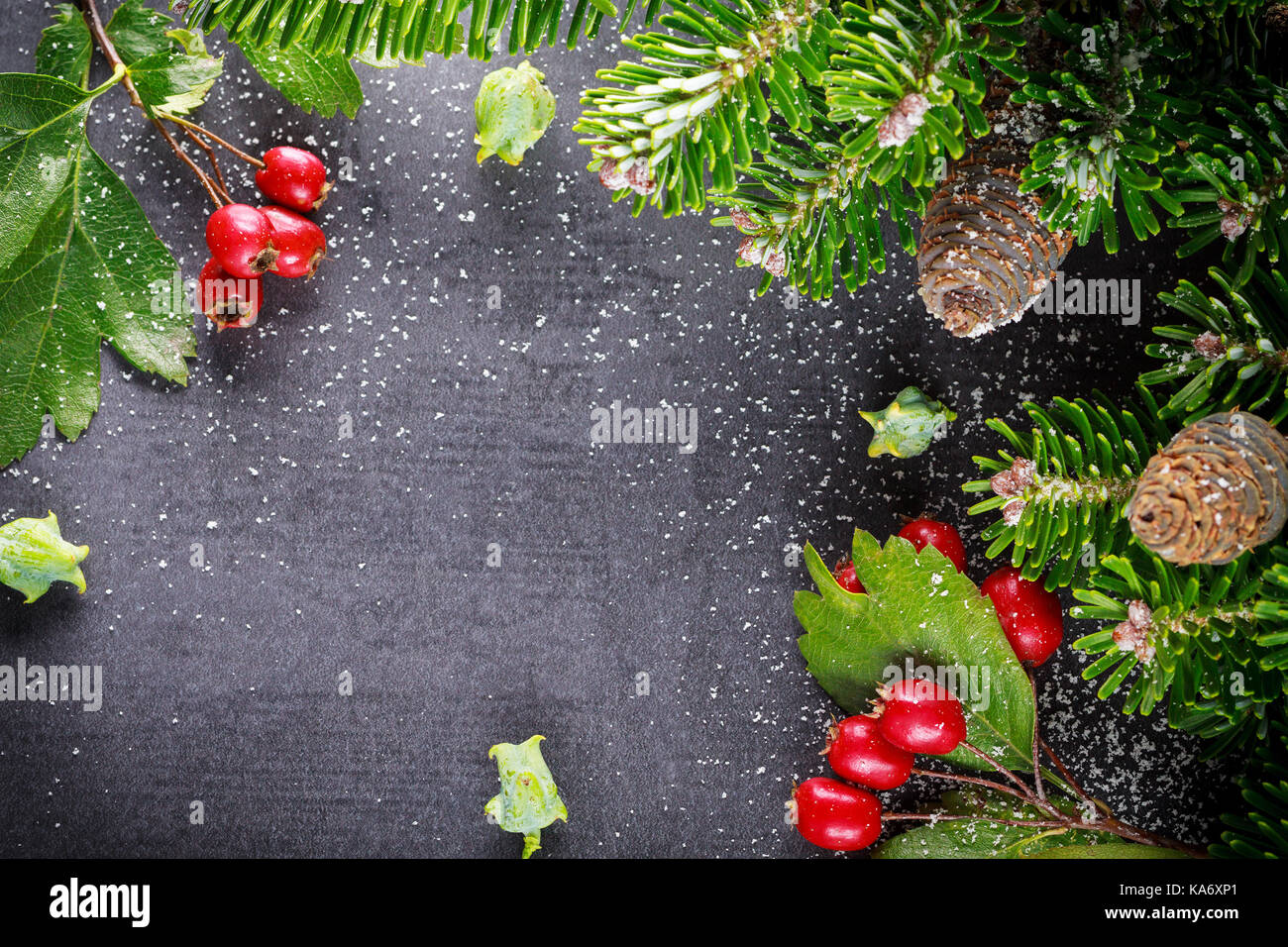 Decorative christmas background with green twigs and red berries. Stock Photo