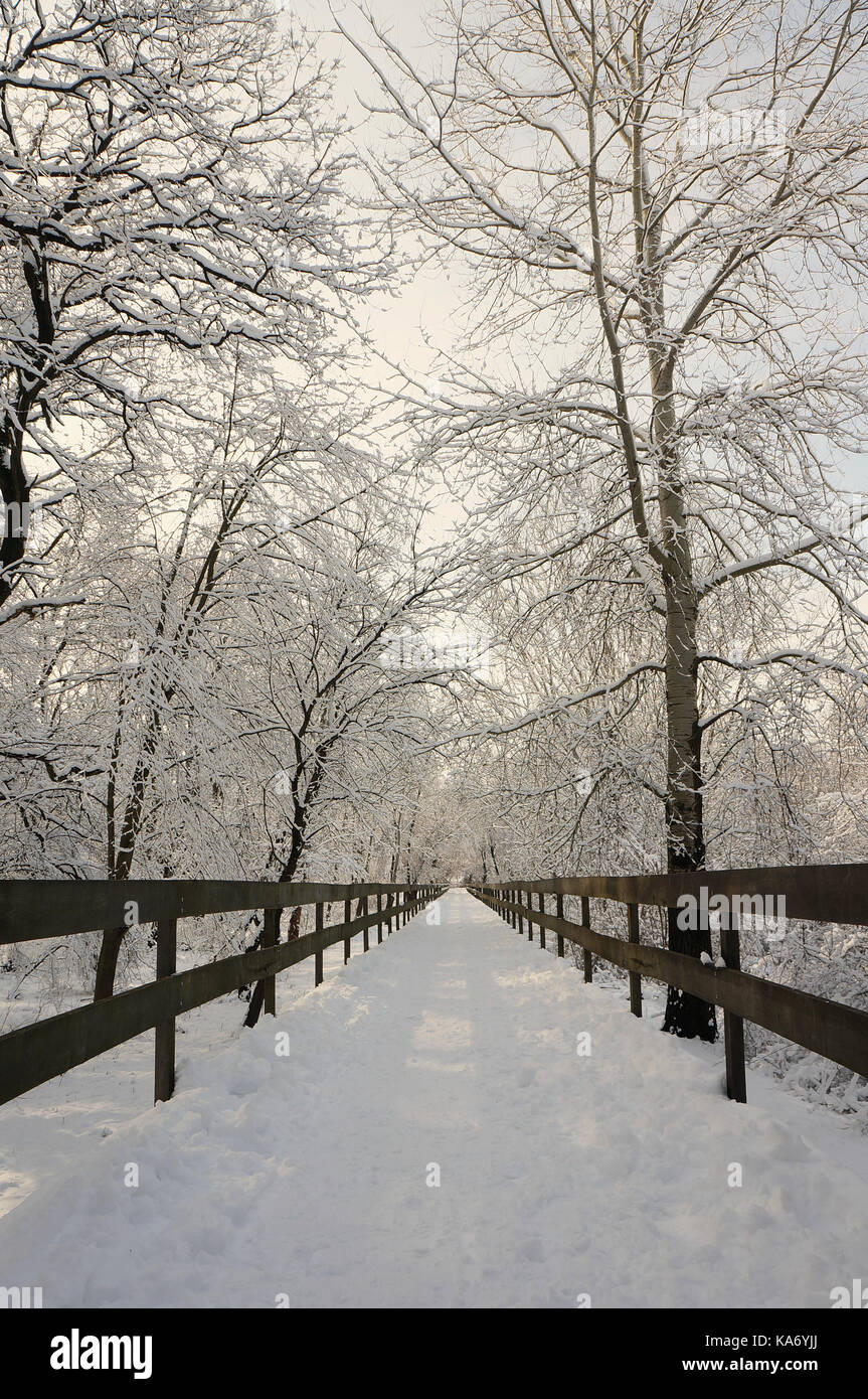 Frozen bridge hires stock photography and images Alamy