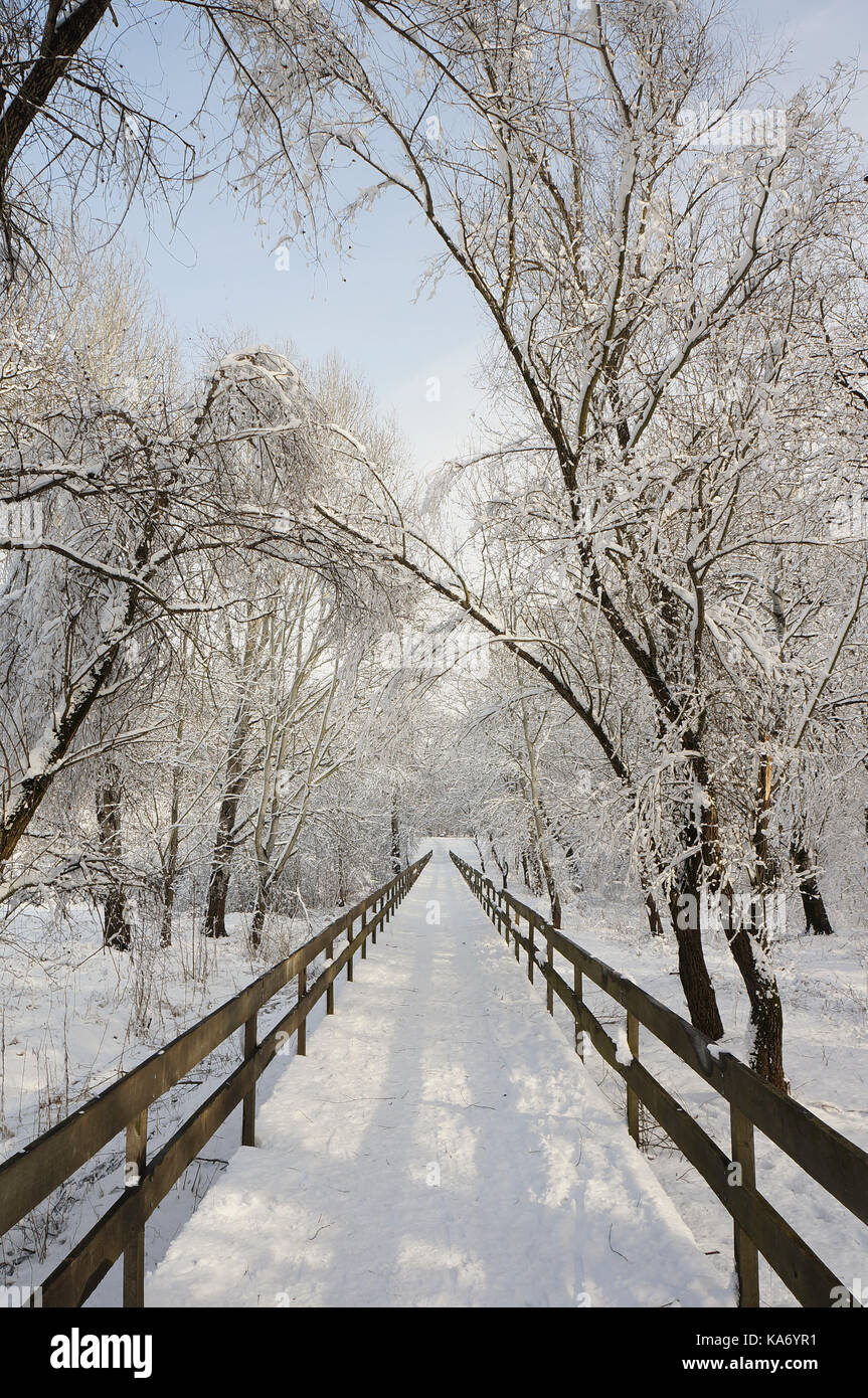Frozen bridge Stock Photo Alamy