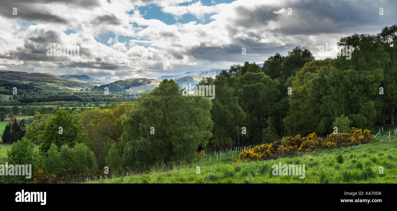 Comrie from Comrie Croft, Perthshire on a fine late spring day.  Had a great day looking around the place, chatting (mainly absolute nonsense about Ka Stock Photo