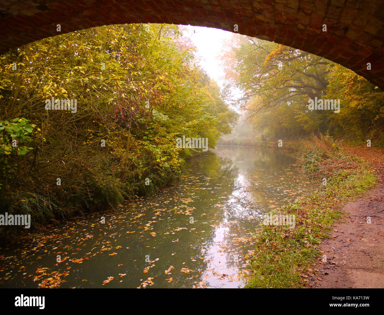The Basingstoke Canal Stock Photo Alamy