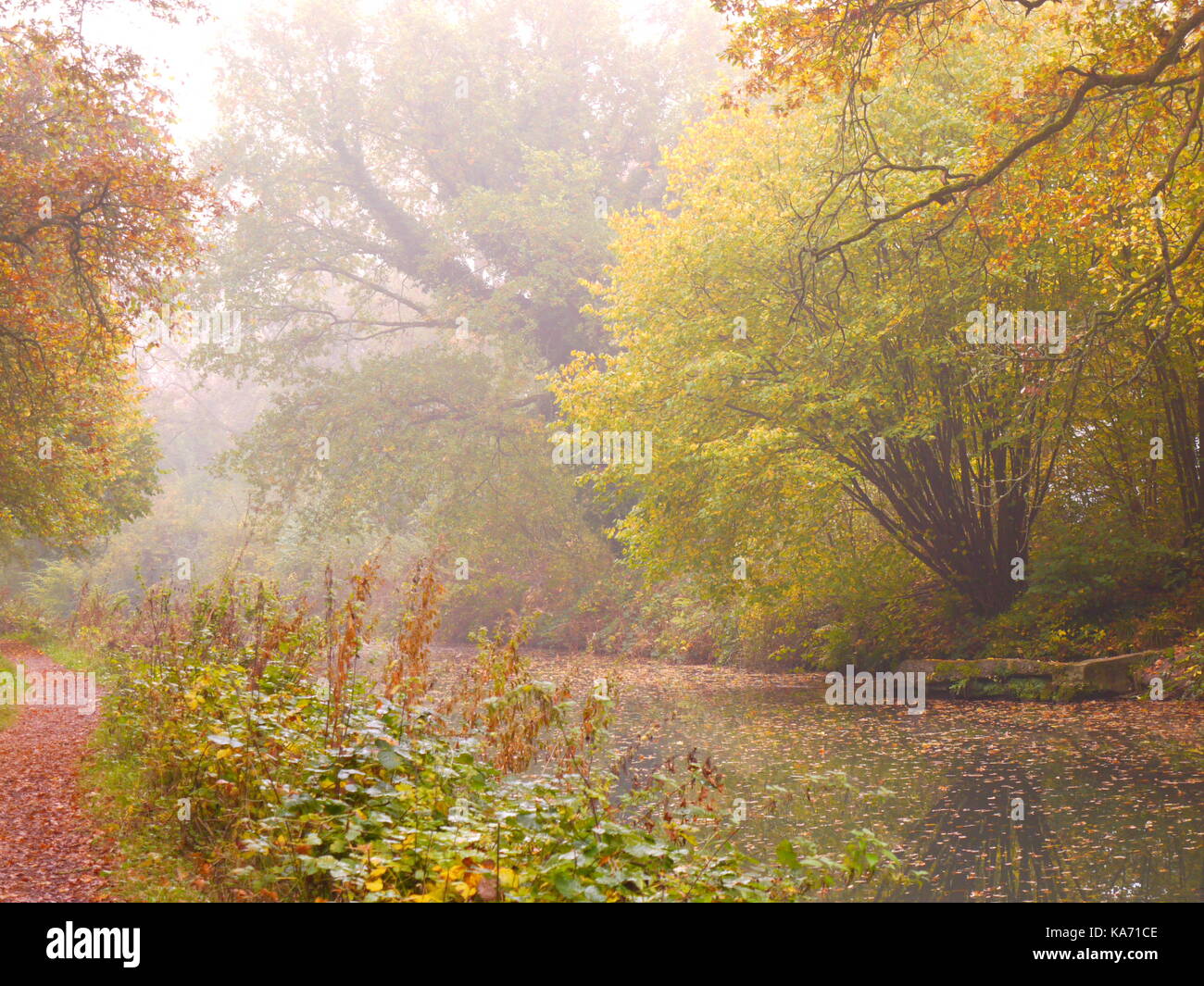 The Basingstoke Canal Stock Photo Alamy