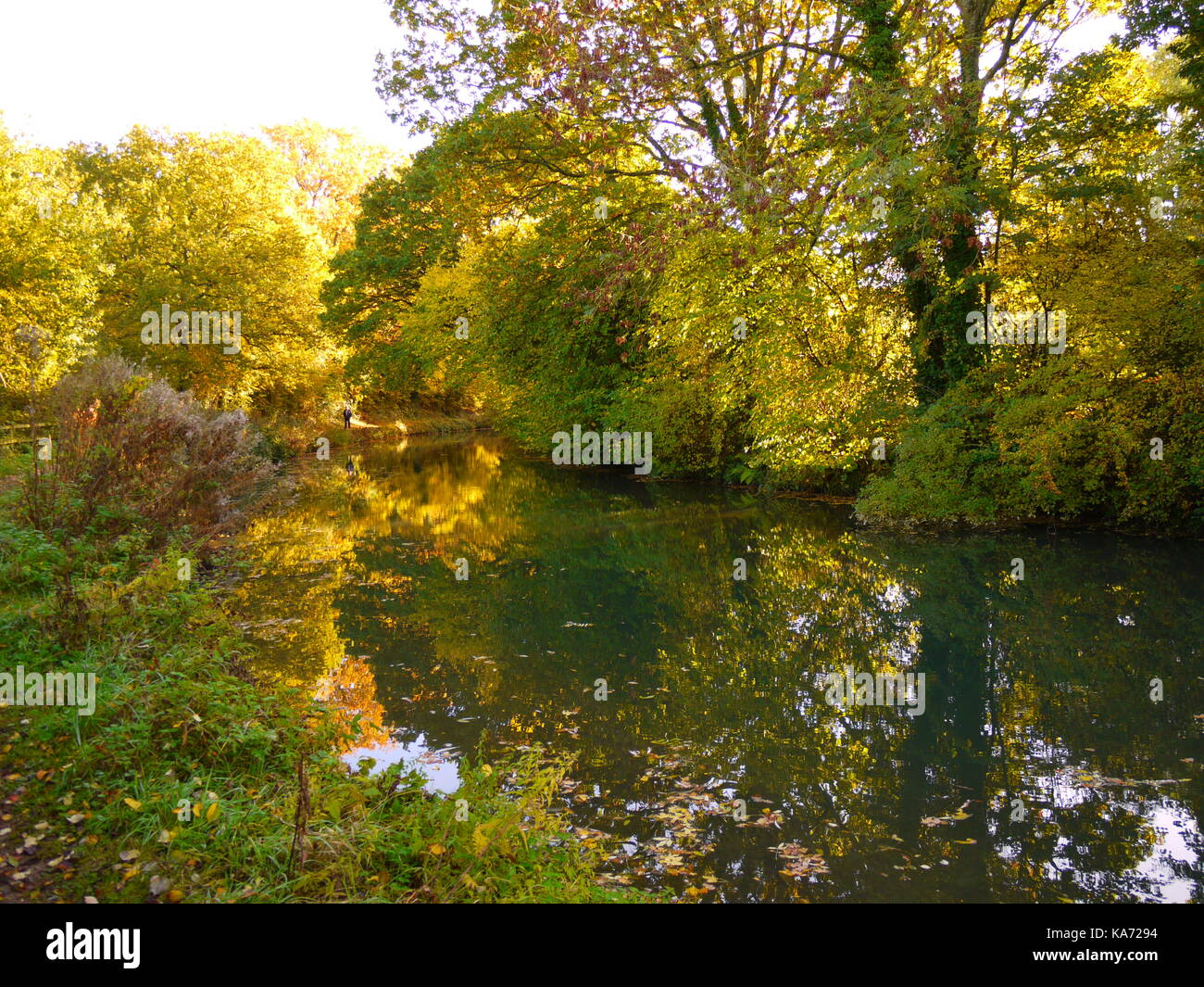 The Basingstoke Canal Stock Photo