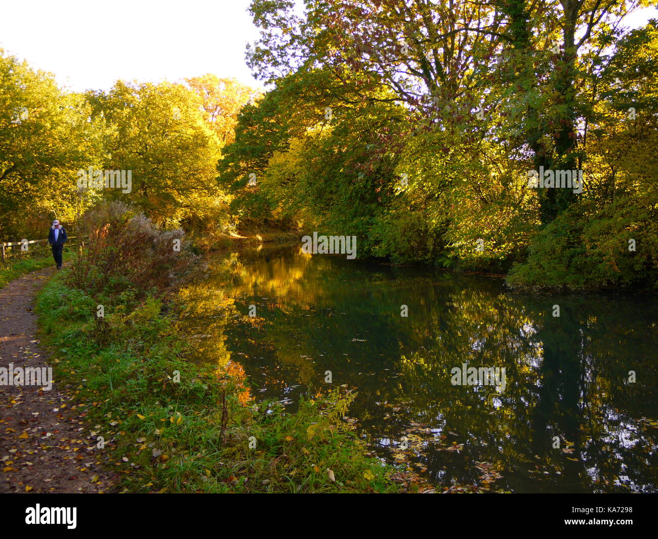 The Basingstoke Canal Stock Photo Alamy