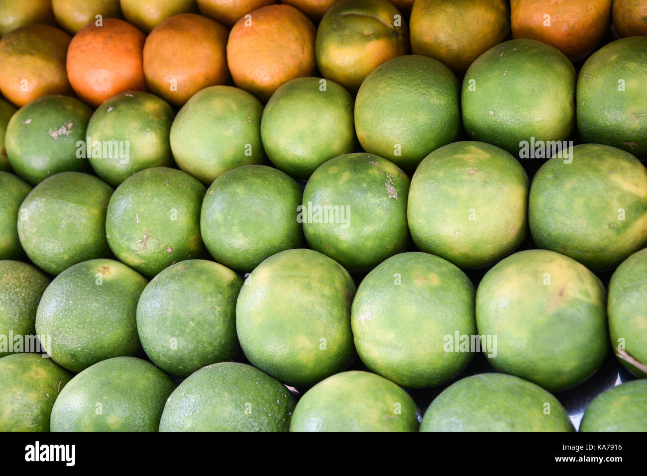 Fresh healthy orange mandarin and green citrus fruits Stock Photo Alamy