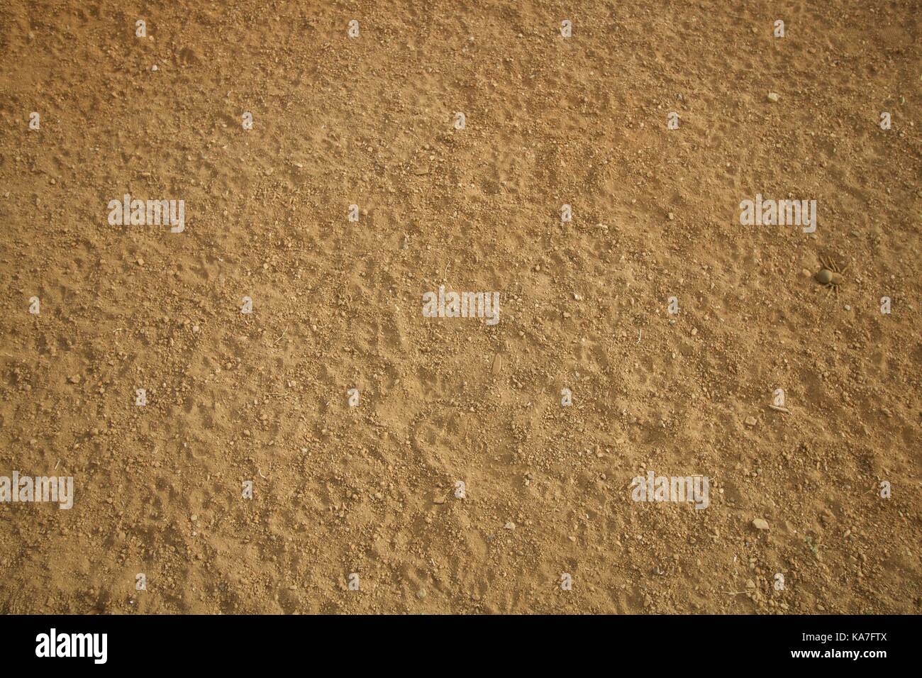 Textura de terra, sand texture Stock Photo