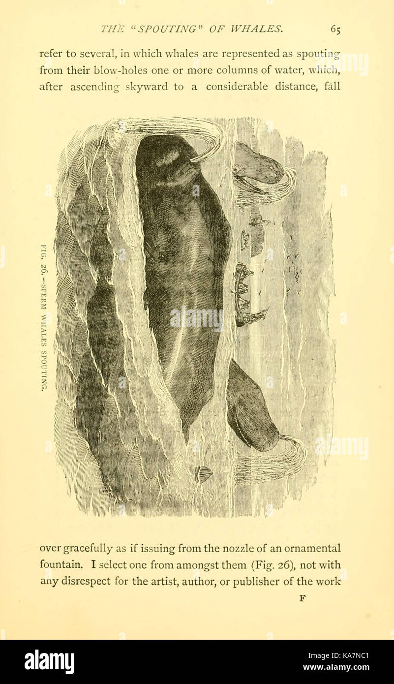 Sea Fables Explained 15401582917 Stock Photo Alamy