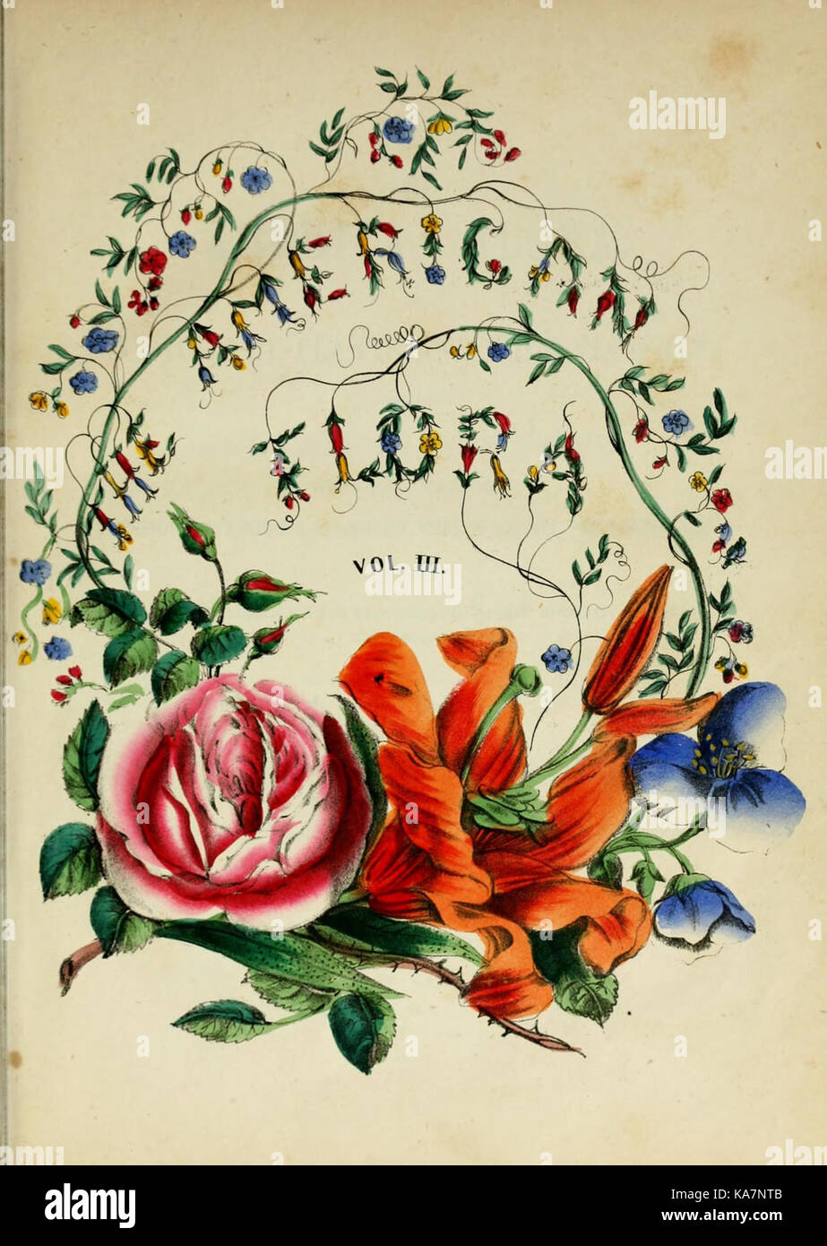 American flora study hi-res stock photography and images - Alamy
