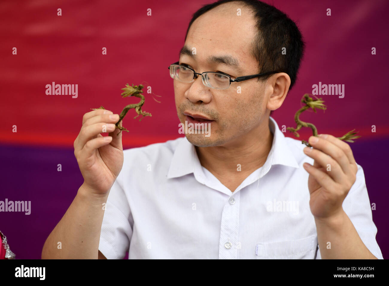 Beijing, China. 25th Sep, 2017. Huang Qiang, an inheritor of straw weaving intangible cultural heritage of the Qiang ethnic group, shows straw-weaved dragons in Beijing, capital of China, Sept. 25, 2017. The 4th Badachu park cultural festival will be held from Oct. 1 to Oct. 7 in Badachu Park in Beijing. Inheritors of intangible cultural heritages from 17 ethnic minorities will present cultural heritages to enrich tourists' National Day holiday. Credit: Li Jundong/Xinhua/Alamy Live News Stock Photo