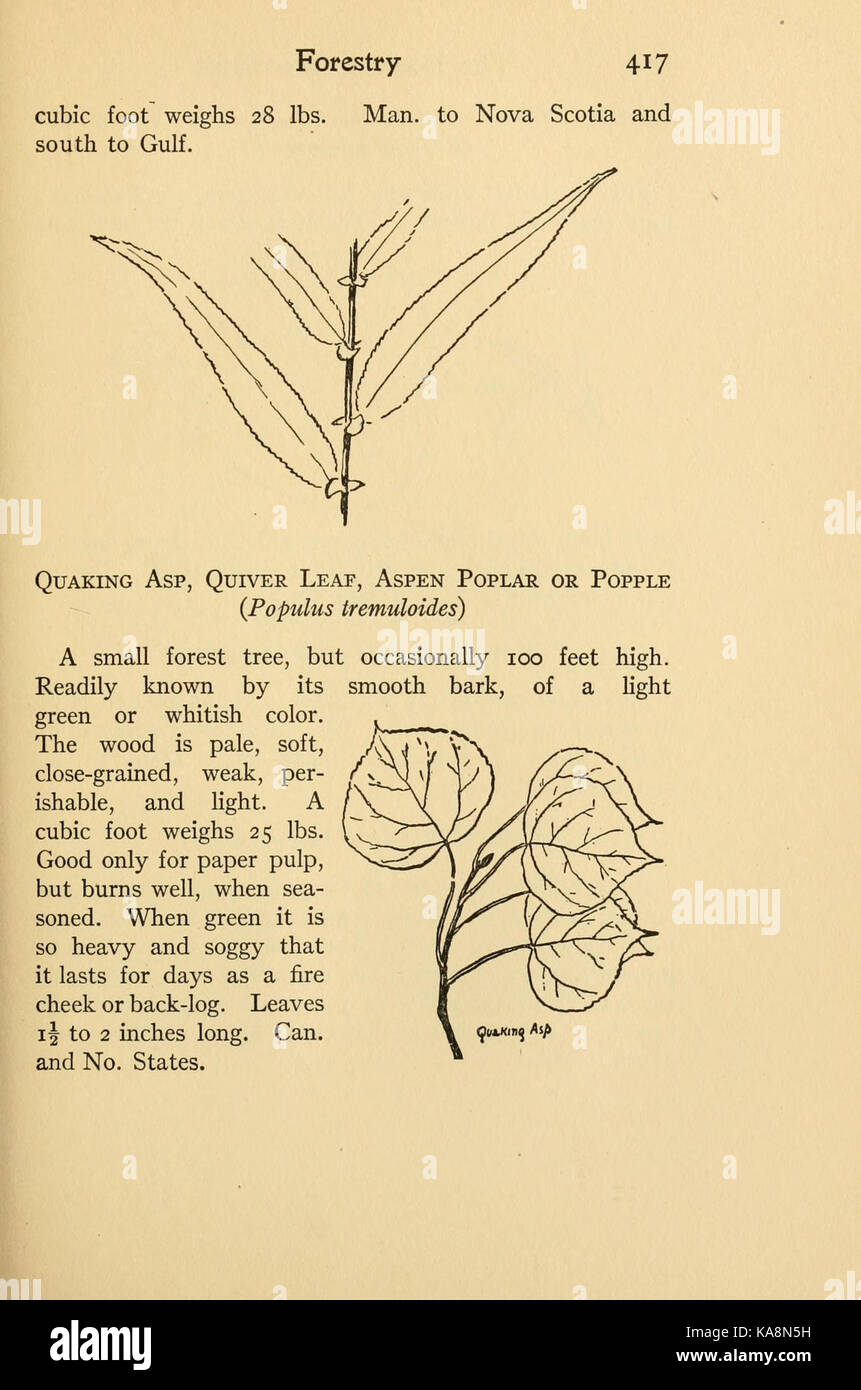 The book of woodcraft and Indian lore (Page 417) BHL3910427 Stock Photo