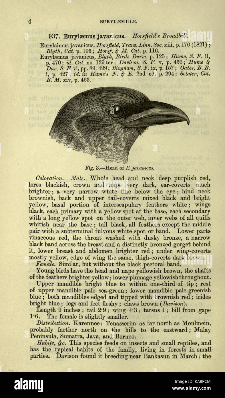 The fauna of British India, including Ceylon and Burma (Page 4) BHL20629614 Stock Photo