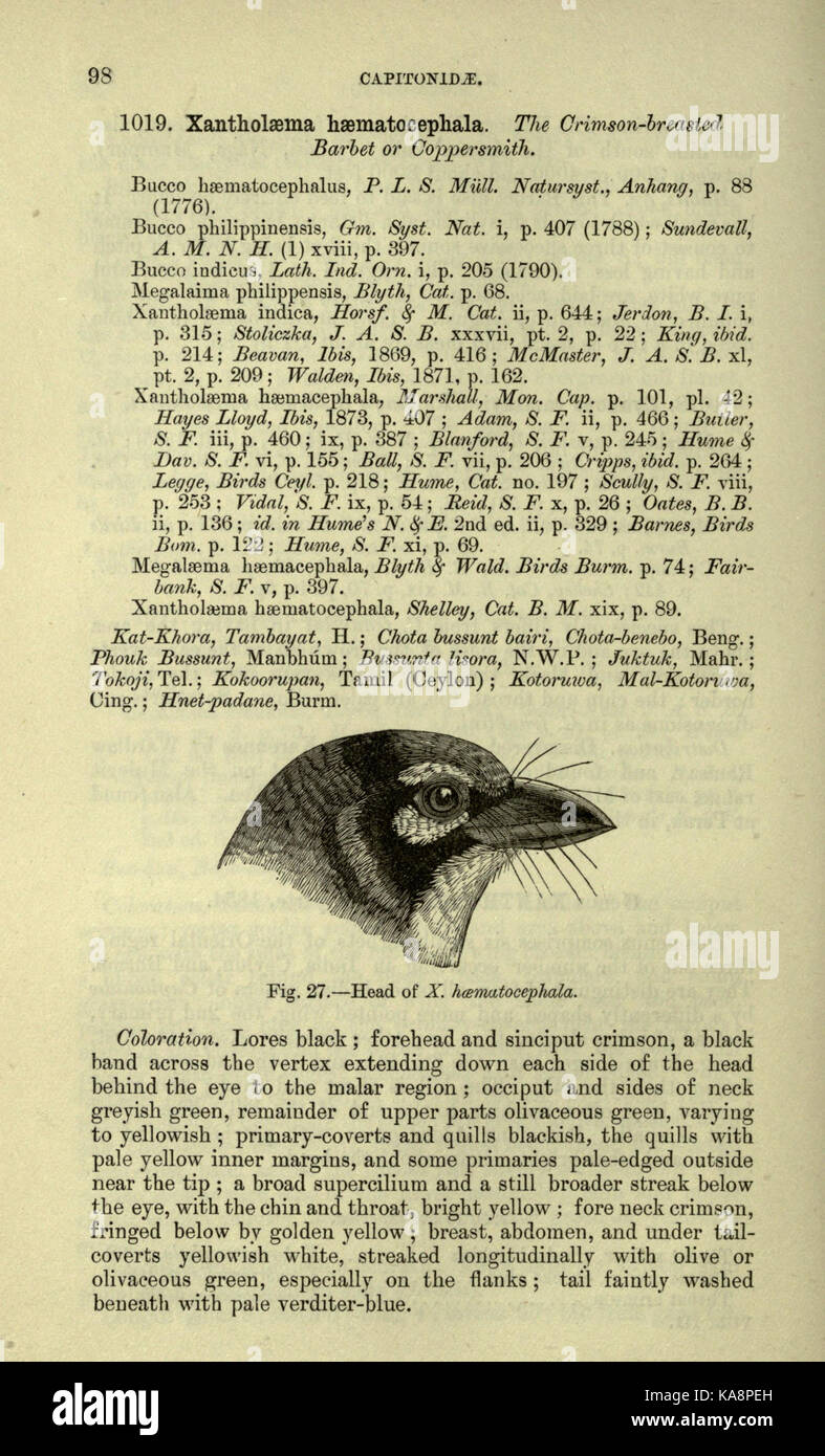 The fauna of British India, including Ceylon and Burma (Page 98) BHL20629708 Stock Photo