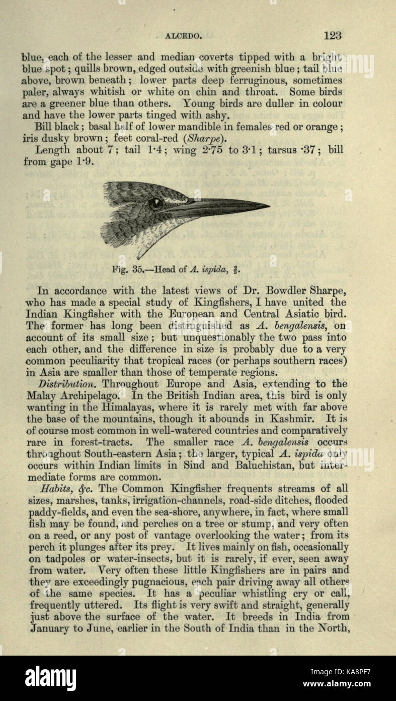 The fauna of British India, including Ceylon and Burma (Page 123) BHL20629733 Stock Photo